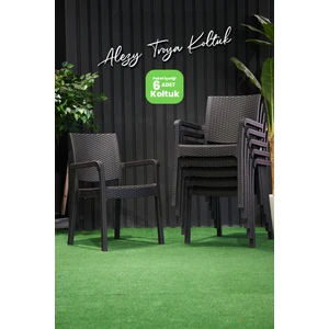 Troya Rattan Desenli Kollu Koltuk Bahçe Balkon Koltuğu 6'lı Set Kahverengi