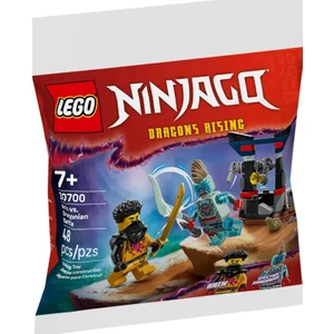 Ninjago Arin ile Ejderinsan Savaşı 30700