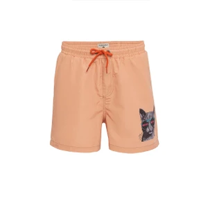 Routefield Velma Erkek Turuncu Volley Short