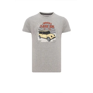 Routefield Truman Erkek Gri Tişört