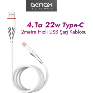 2 Metre USB Type-C Uzun Ömürlü Şarj Kablosu