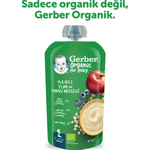 Organik Yulaflı Elma ve Yaban Mersini Püresi 110 gr