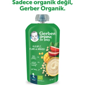 Organik Yulaflı Elma ve Mango Püresi 110 gr