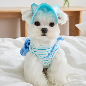 Kedi Köpek Şapkası