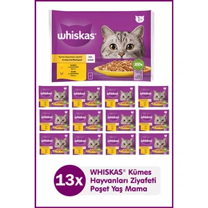 Tavuklu ve Hindili Yetişkin Kedi Yaş Maması 4X85 gr (13 Paket,52 Adet Tekli)