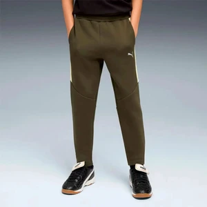 Evostrıpe Pants Dk