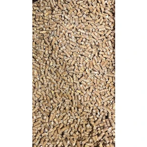 Yavru Güvercin Yemi