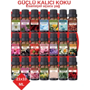 Eko Set Saf Esansiyel Uçucu Yağ Buhurdanlık Yağı Difüzör Esansı Aromaterapi Ortam Koku Yağı 21X10M