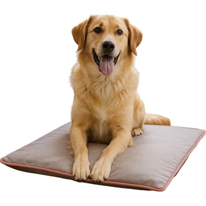Thermo Mat, 2’si 1 Arada Jel Dolgulu, Kışın Isıtıcı & Yazın Serinletici Etkili Kedi ve Köpek Matı