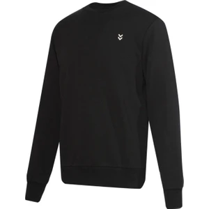 T-Pulse Male Co Regular Crew Neck Sweatshırt