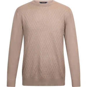 Kahverengi Regular Fit Jakarlı Bisiklet Yaka Yünlü Triko Kazak