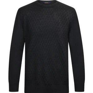 Siyah Regular Fit Jakarlı Bisiklet Yaka Yünlü Triko Kazak