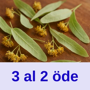 Düzce Koçari Bal Düzce’den Ihlamur 50 gr | Katkısız, Koruyucusuz, Işınsız Bitki Çayı