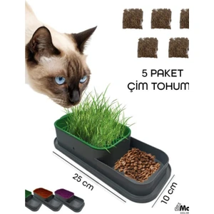 Chittoshop Kedi Çimi Kabı Topraksız