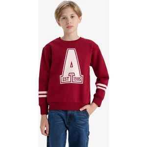 Erkek Çocuk Bisiklet Yaka Baskılı Sweatshirt D4342A824WN