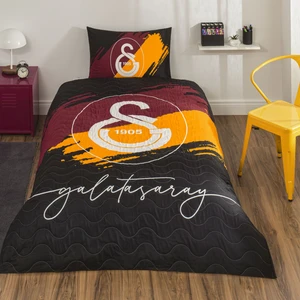 Taç Lisanslı Galatasaray Aslan Complete Set