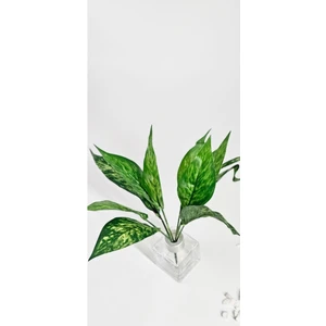 Yeşil Kılıç Çiçeği 27 cm Ev Dekor Vazo Süsü