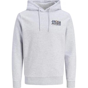 Jjgeplas Sweat Hood Ln