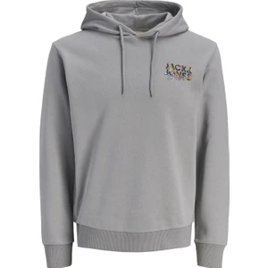 Jack & Jones Jjgeplas Sweat Hood Ln