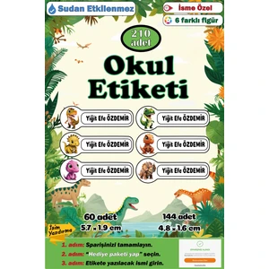 Ayza Tasarım Isme Özel Okul Etiketi Kalem Defter Etiketi Sticker Kız Çocuk Dinozor Figürlü Isim Etiketi Set-2