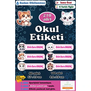 Ayza Tasarım Isme Özel Okul Etiketi Kalem Defter Etiketi Sticker Kız Erkek Çocuk Kedili Isim Etiketi