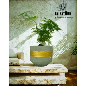 Bitkitürk Beton Saksıda Kuşkonmaz