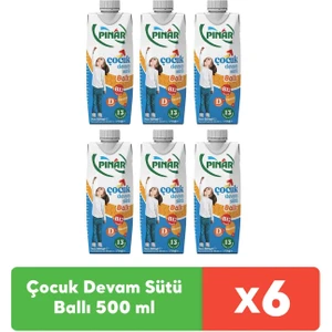 Çocuk Devam Sütü Ballı 500 ml x 6 Adet