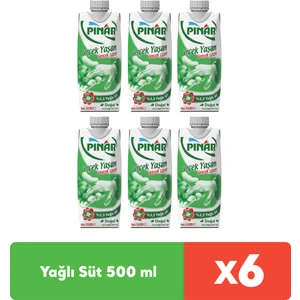 %3.3 Yağlı Süt 500 ml x 6 Adet