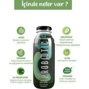Probiotic Smoothie 250 ml