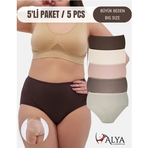 Alya Underwear Kadın Büyük Beden Külot Full Brief, Pamuklu Yüksek Bel Iç Çamaşırı 5'li Paket ( P20, 5xl )