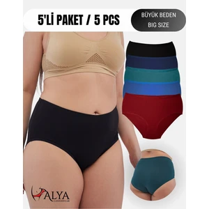 Alya Underwear Kadın Külot, Pamuklu Büyük Beden Külot, Yüksek Bel Iç Çamaşırı ( P24, 5xl )