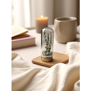 Pisidia Lavanta Kapsülü (Lavanta Taneli Dekoratif Küre) - Doğal Hediye, Dekor, Biblo