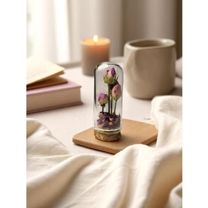 Pisidia Gül Kapsülü (Gül Yapraklı Dekoratif Küre)