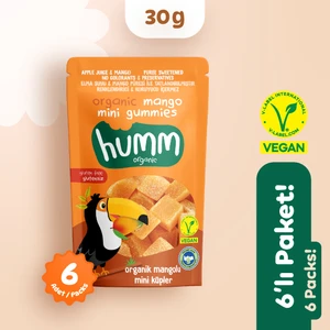 Humm Organic Organik Glutensiz Vegan Mangolu Mini Küpler Atıştırmalık Paketi - 6 Adet