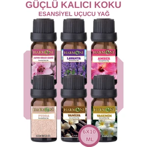 Favori Set Esansiyel Uçucu Yağ Buhurdanlık Yağı Hava Nemlendirici Aroma Difüzörü Kokusu Esans 6X10ML