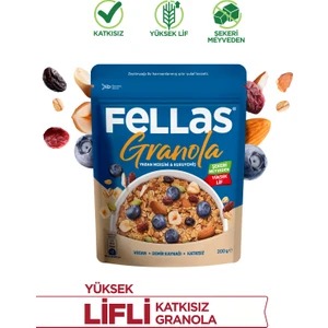 Granola - Yaban Mersini & Kuruyemiş (200g)