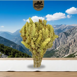 Neffas Food Alanya Adaçayı