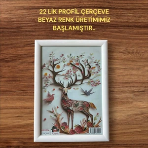 BERENHOME 21X30 A4 BELGE,EVRAK VE DİPLOMA ÇERÇEVESİ