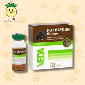 Kot Bayoun Sıvı