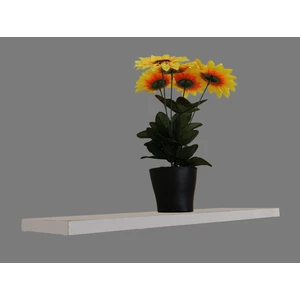 🏠 Tekli Duvar Rafı – Beyaz (50X15 Cm)