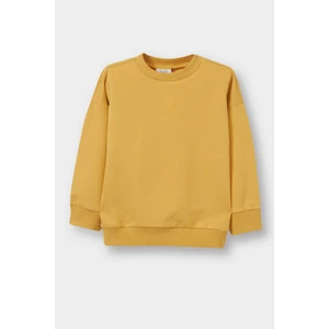 Erkek Bebek Bisiklet Yaka Basic Düz Sweatshirt A7343A525AU