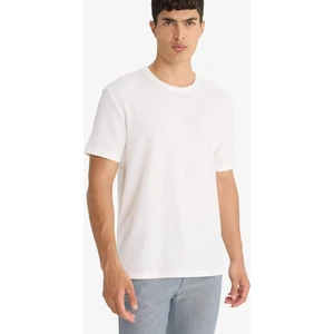 Regular Fit Bisiklet Yaka Dokulu Kısa Kollu Tişört F8480AX25AU