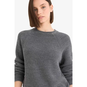 Regular Fit Bisiklet Yaka Triko Kazak L2567AZ25WN