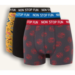 Regular Fit Desenli 3'lü Boxer B4782AX25AU