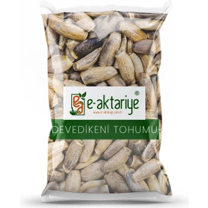Devedikeni Tohumu 250 gr