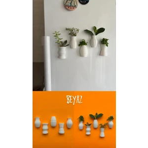 Fuzzy Mini Saksı Magnetli Set (5 Adet)
