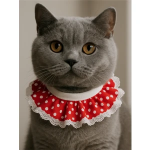 Kedi Prenses Yaka Tasma Kırmızı Puantiyeli Dantelli
