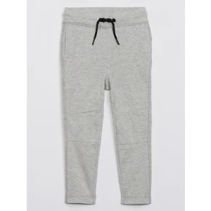 Erkek Bebek Gri Gapfit Performance Pull-On Jogger Eşofman Altı