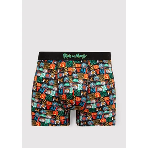 Rick And Morty Baskılı Renkli Boxer 0911985-34621