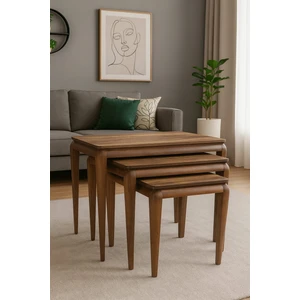 Cg Home Milas Zigon Sehpa Üçlü %100 Ağaç Lake Boyalı Sehpa